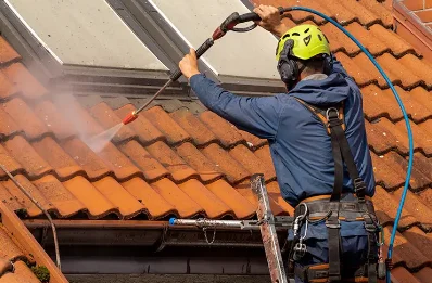 Démoussage et hydrofuge de toiture au Pescher